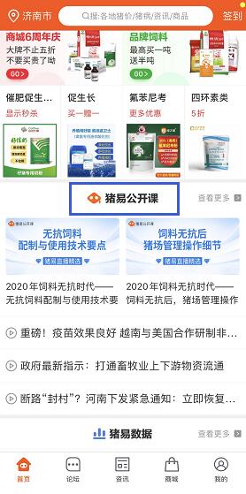 豬易直播2.jpg