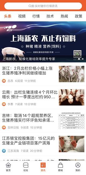 豬易資訊.jpg