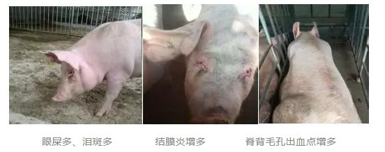 圖片1.png